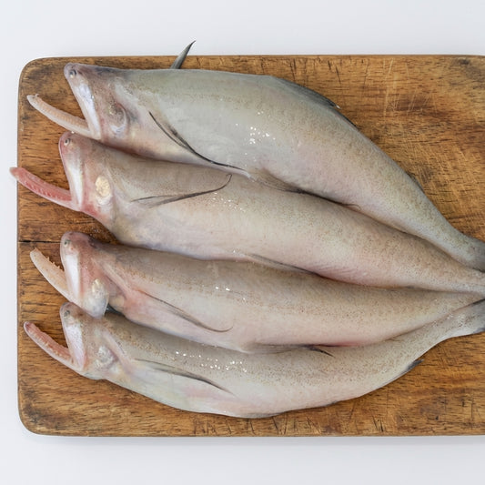 Loitta Fish (In Ice Block) 500g