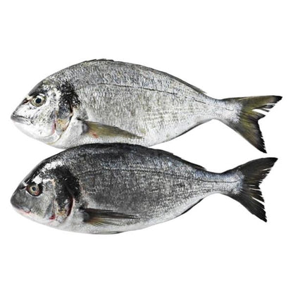 Dorade / Seabream