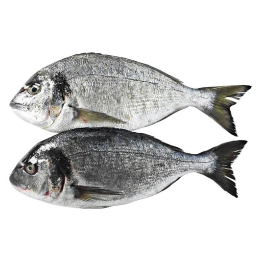 Dorade / Seabream