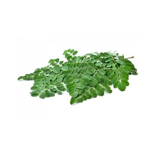 Moringa/Drumstick Leaves (সজনে পাতা) 220-250g