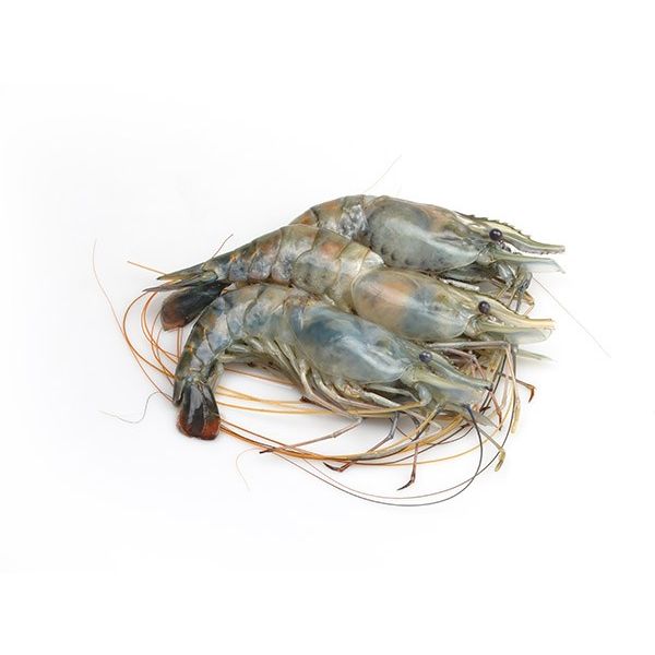 Lobster Head on Sehll on 4/5 pcs in 1kg