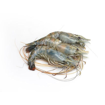 Lobster Head on Sehll on 4/5 pcs in 1kg