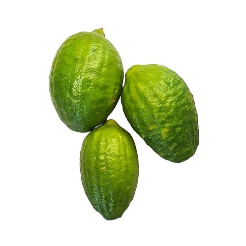 Jara (Gondho Raj)Lemon (জারা লেবু, গন্ধরাজ )