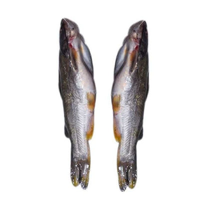Gulsha Tengra fish 500g