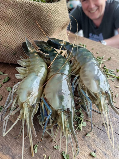 Fresh Water Lobster(Golda Chingri) 6/8 pcs in 1kg