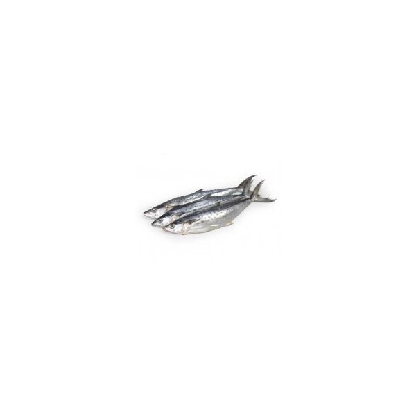 Kingfish (Surmai) 1kg