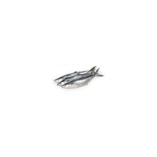 Kingfish (Surmai) 1kg