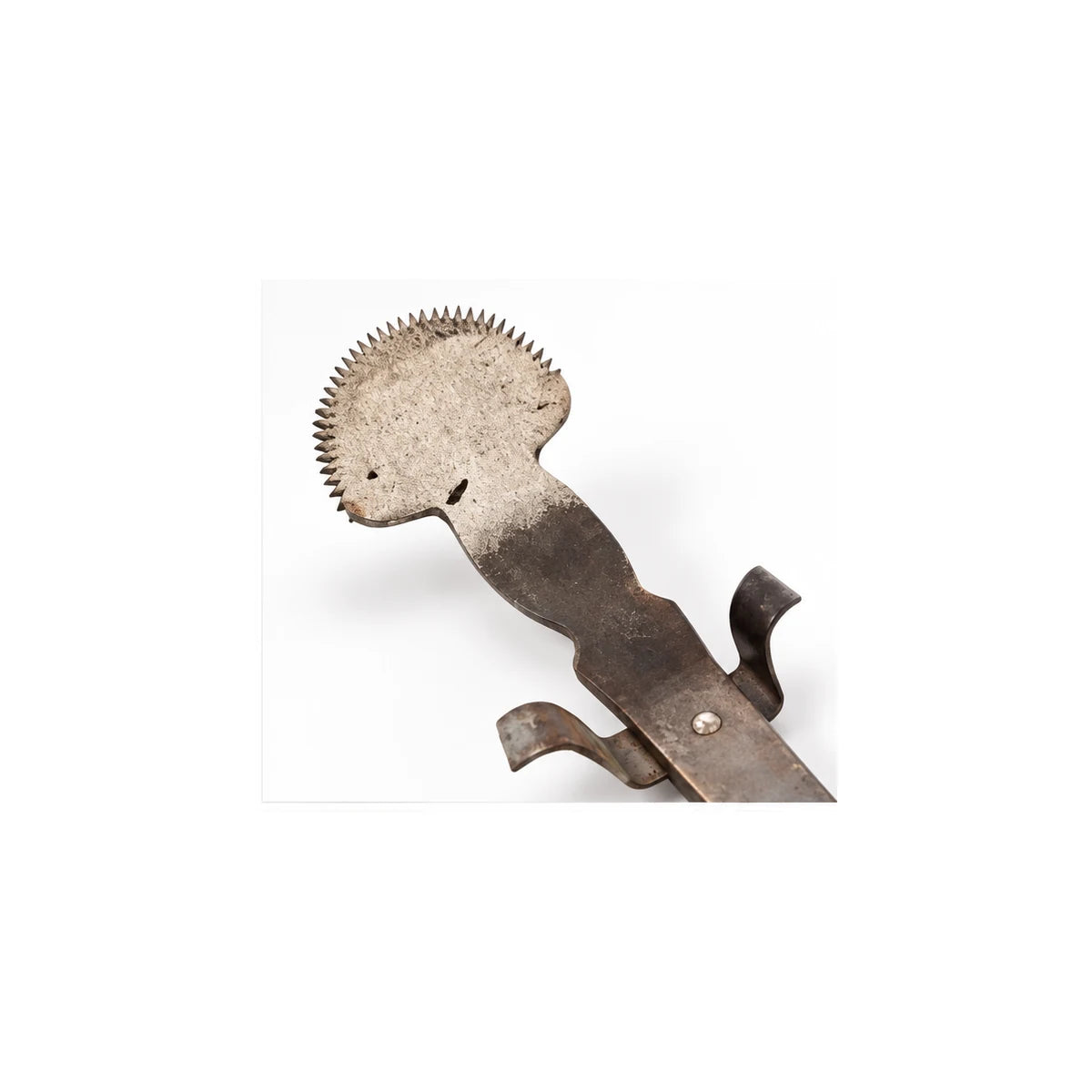 Manual Coconut scraper Korani product image 2