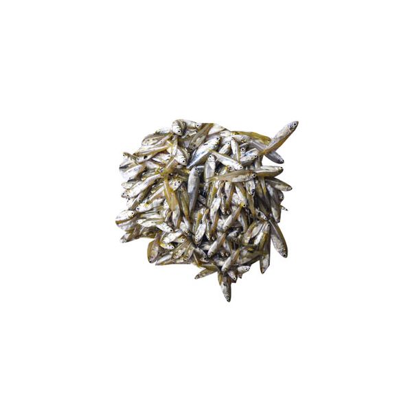 Mola/moka fish