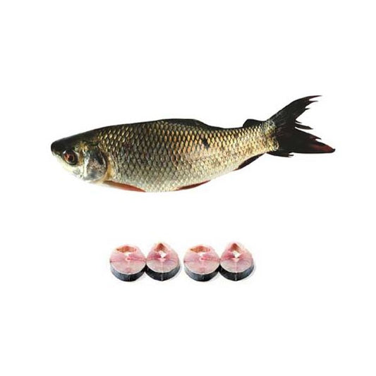 Mrigal Fish-মৃগেল মাছ