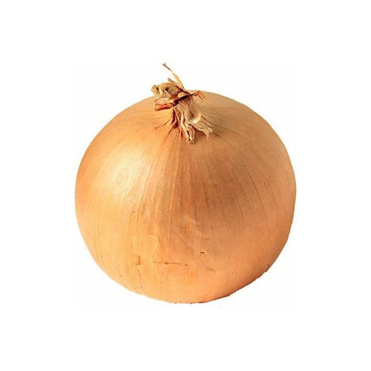 Fresh Onions
