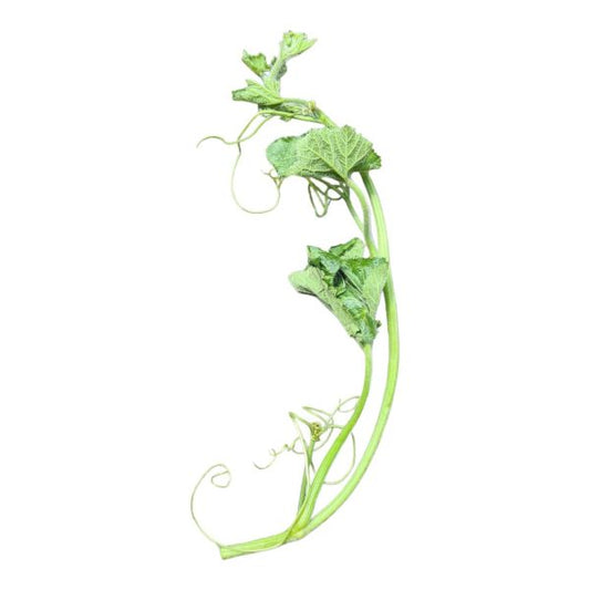 Pumpkin (Kumra) Spinasch (কুমড়ো শাক) 500g (Buy 3 get 1 Free)