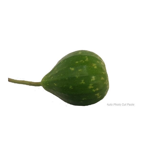 Round Bottle Gourd (গোল কদু , লাউ )