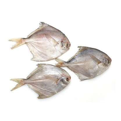 Silver Pomfret (রূপ চাঁদা মাছ ) 5 in kg