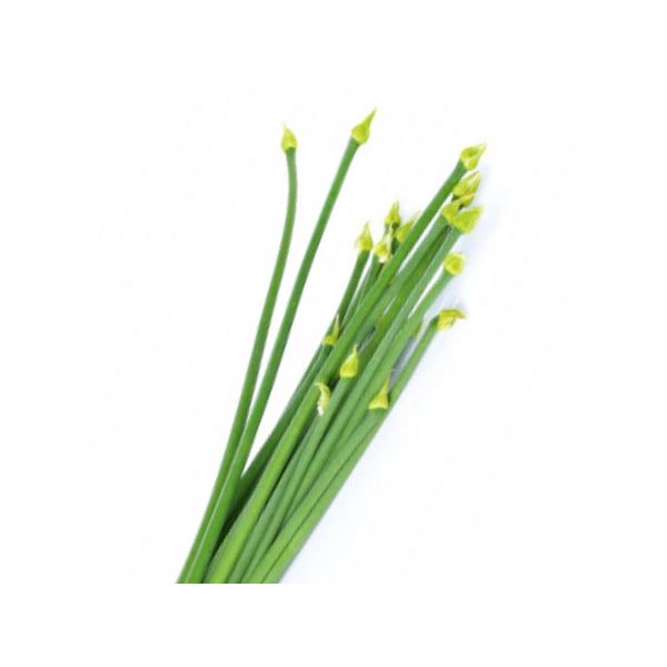 Spring Onions (পেঁয়াজ ফুল )