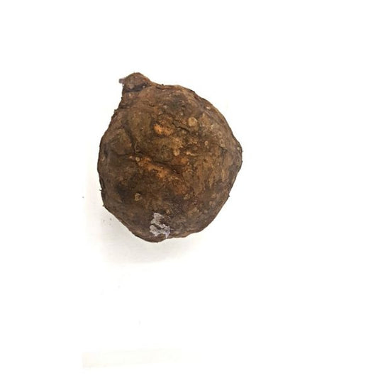Elephant Foot (Suran, ওল কচু)
