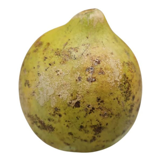 Wood Apple (পাকা বেল) 500-600g
