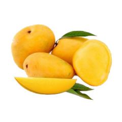 Fresh Alphonso Mango 1.2-1.3kg
