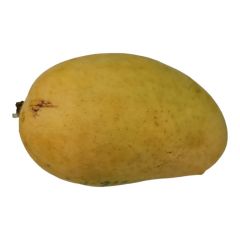 Alphonso Primium Mango 2.3-2.5 kg