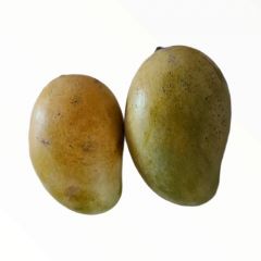 Amropali Mango (আম্রপলি আম) 