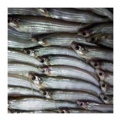 Batashi fish