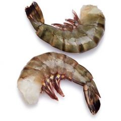Black Tiger Shrimp (16/20 Per kg) H/L
