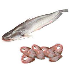Boal Fish