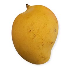 Ripe Mango 1kg