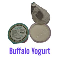 Amma Buffalo Yogurt
