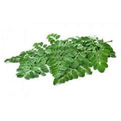 Moringa/Drumstick Leaves (সজনে পাতা)