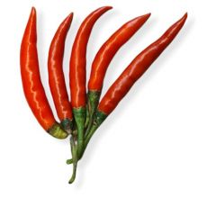 fresh red chili 500g