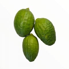 Jara Lemon (জারা লেবু, গন্ধরাজ )