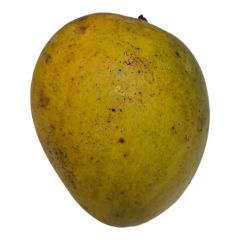 Haribhanga (হাঁড়িভাঙ্গা আম) Mango 1kg