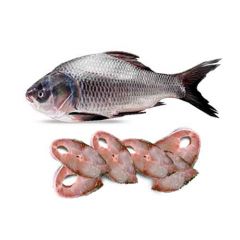 Katla fish- 4 kg up
