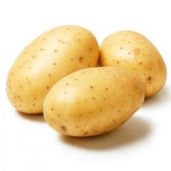 Fresh Potato