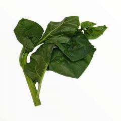 Malabar Spinach (Basella,পুঁই শাক ) 