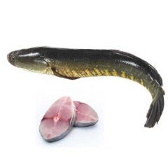 Shol Fish-1.5kg 