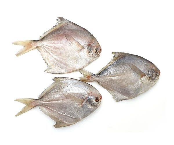 Pomfret fish near deals me